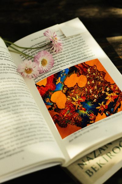 CSM系列 假面骑士帝骑 帝骑驱动器