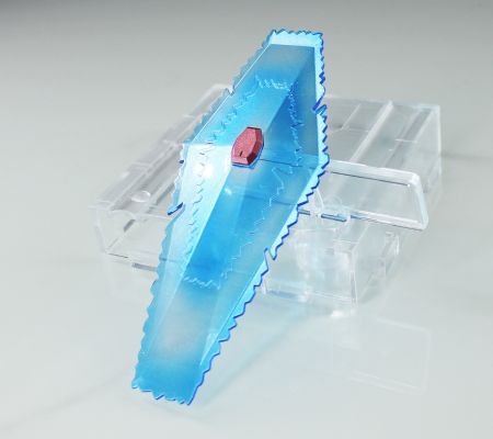 RG 1/144 强袭自由高达 ［钛金质感］