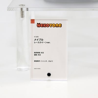 猫娘乐园 枫 赛车女郎