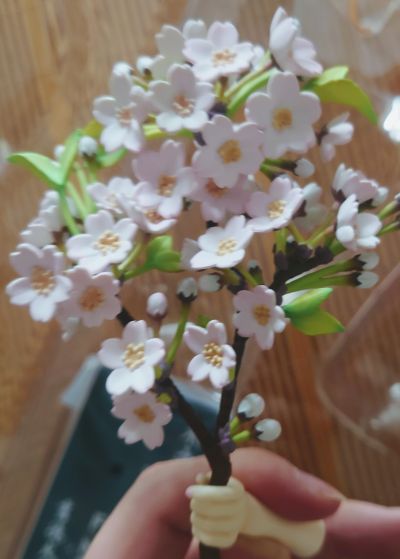 魔卡少女樱 木之本樱 -日本人偶-