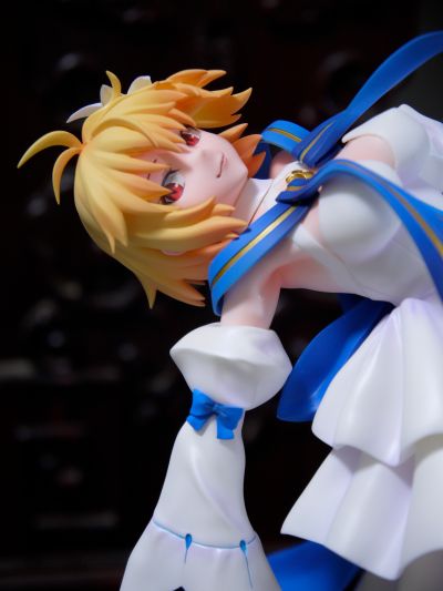 命运-冠位指定 爱尔奎特·布伦史塔德