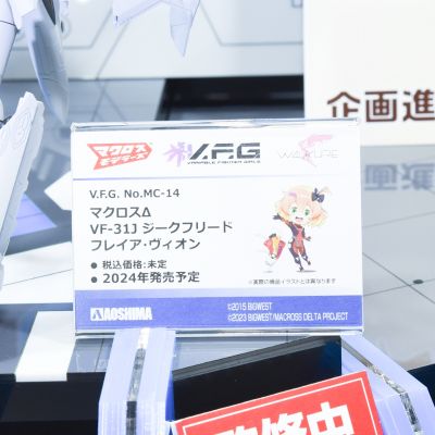 V.F.G. MC-14 超时空要塞DELTA VF-31J  齐格飞 芙蕾雅·薇恩