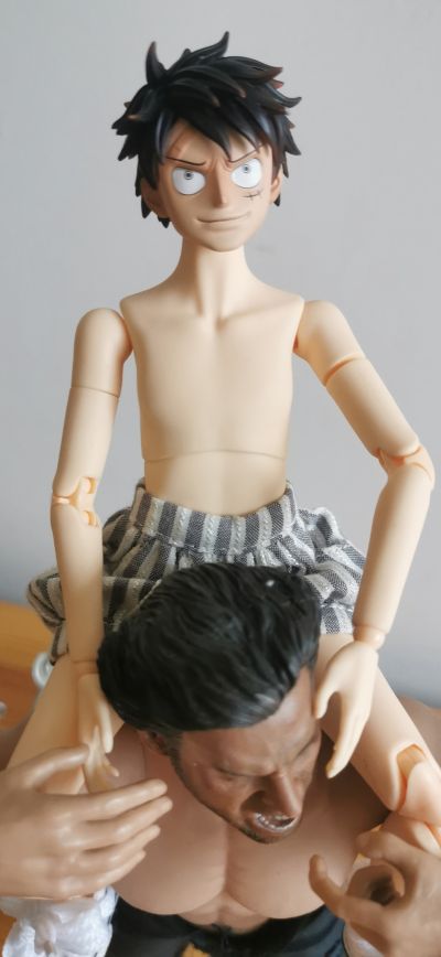 POP 航海王 I.R.O 蒙奇·D·路飞