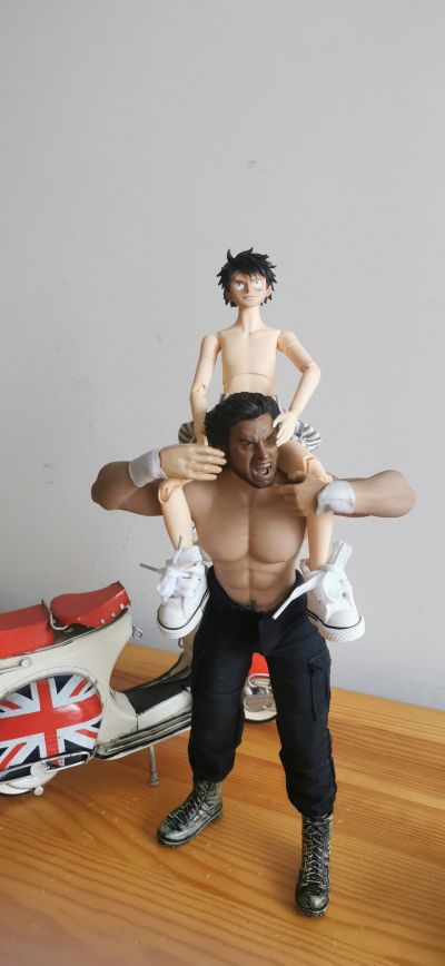 POP 航海王 I.R.O 蒙奇·D·路飞