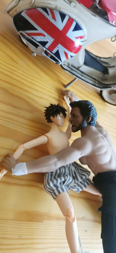 POP 航海王 I.R.O 蒙奇·D·路飞