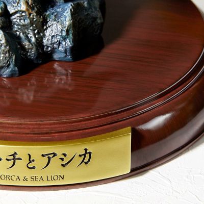 NATURE TALES 虎鲸和海狮