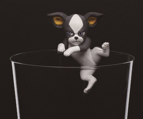 JOJO的奇妙冒险 第三部 星尘斗士 愚者×伊奇