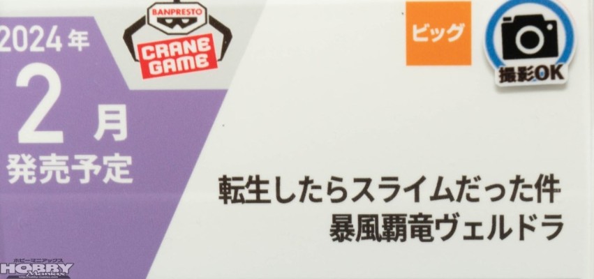 关于我转生变成史莱姆这档事  暴风霸龙维鲁德拉