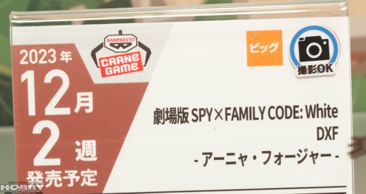 剧场版 间谍过家家 代号：白 DXF-劳埃德·福杰-