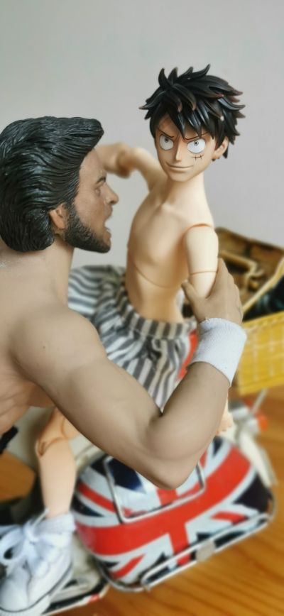 POP 航海王 I.R.O 蒙奇·D·路飞