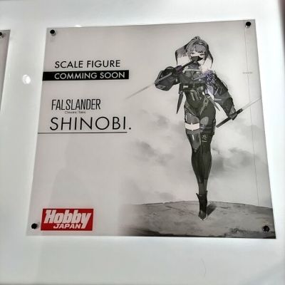 FALSLANDER 忍者.