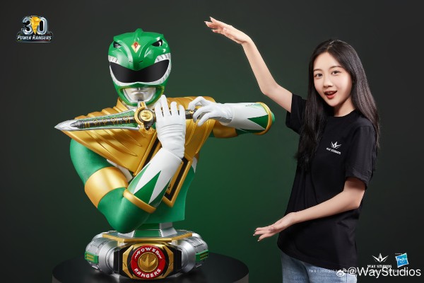 恐龙战队系列 绿衣战士 半身像
