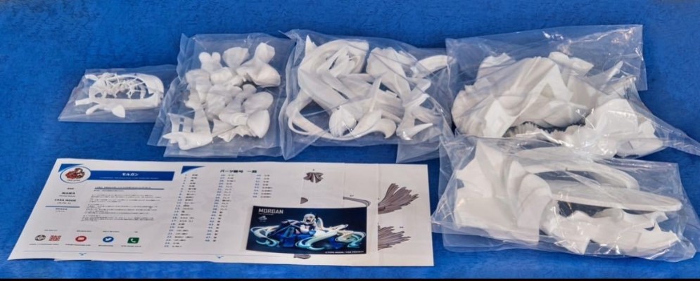 命运-冠位指定 狂战士-摩根 比例人偶