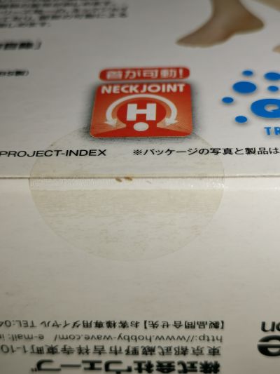 沙滩女王 某不科学的超电磁炮 御坂美琴 泳装