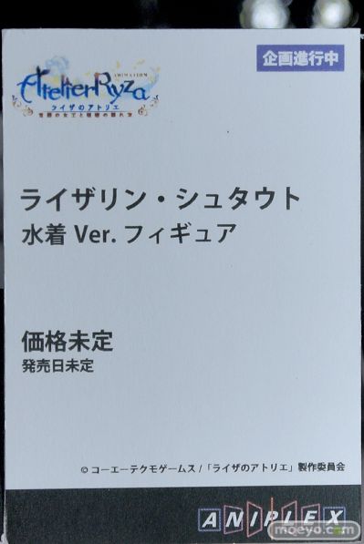 莱莎的炼金工房 ～常暗女王与秘密藏身处～ 莱莎琳·斯托特 泳装