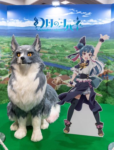 Luminasta 幻日夜羽 夜羽