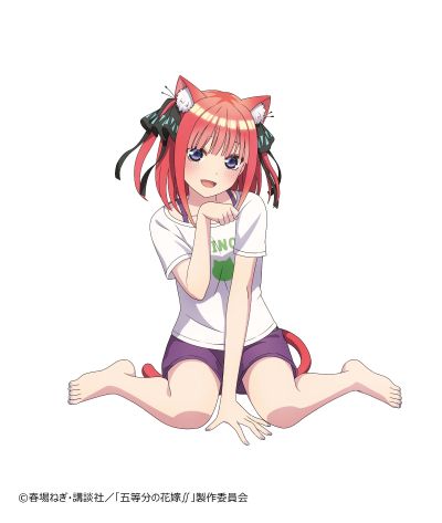Desktop Cute 五等分的新娘∬ 中野二乃 ~新绘制猫咪居家服~