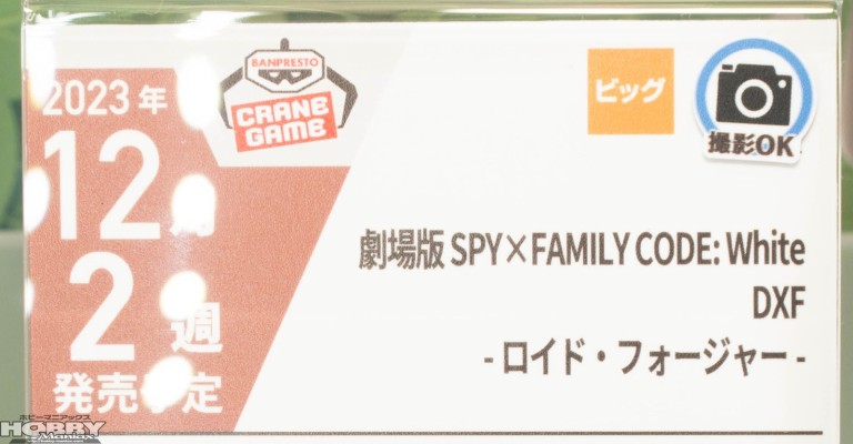 剧场版 间谍过家家 代号：白 DXF-劳埃德·福杰-