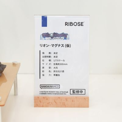 宿命传说 里昂·马格那斯