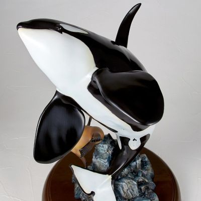 NATURE TALES 虎鲸和海狮