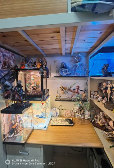 大学牲入坑已经一年了 简单曝个柜