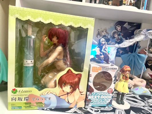 向坂环 でらっくす