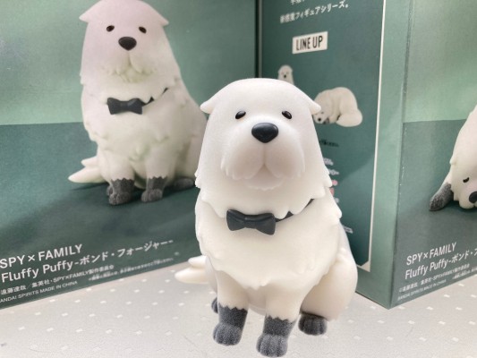 间谍过家家 软萌-邦德·福杰-A款