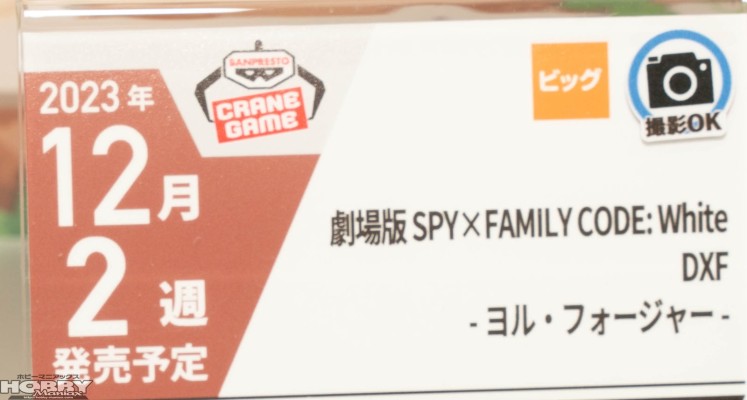 剧场版 间谍过家家 代号：白 DXF-阿尼亚·福杰-