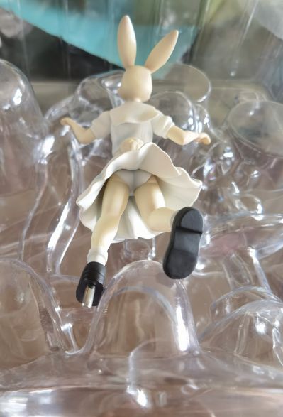 动物狂想曲 春 与 雷格西 ～来跳支舞吧～