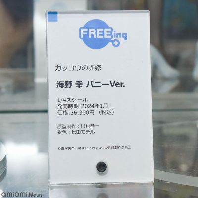 B-style 杜鹃的婚约 天野绘里香 兔女郎