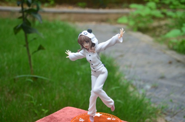 Coreful 青春猪头少年不会梦到兔女郎学姐 梓川枫