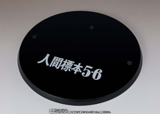 S.H.Figuarts   达达 剧中版