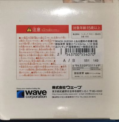 沙滩女王 某不科学的超电磁炮 御坂美琴 泳装