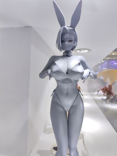 兔女郎矢式小姐