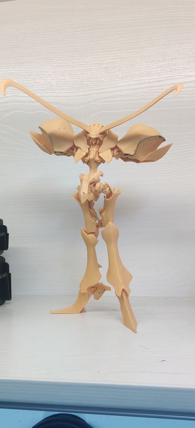 SAV 五星物语 V·赛连·海子