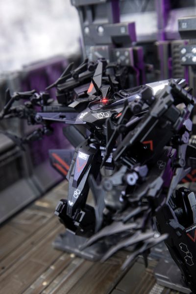 迷惘商会：异鸟代码 幻之鸟