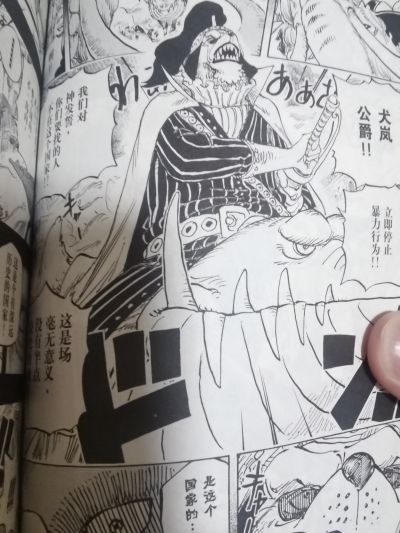 一番赏 航海王 ~你好！！佐乌之国~ B奖 犬岚