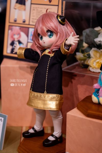 DD 间谍过家家 阿尼亚·福杰