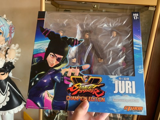 街头霸王5 韩蛛俐