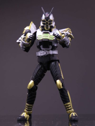 装动编年史 假面骑士甲斗王