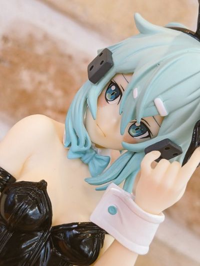 BiCute Bunnies 刀剑神域 诗乃