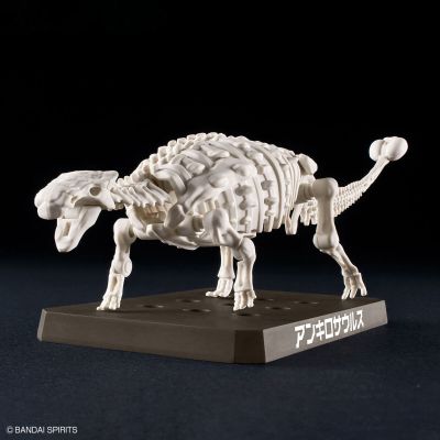 恐龙拼装模型 甲龙