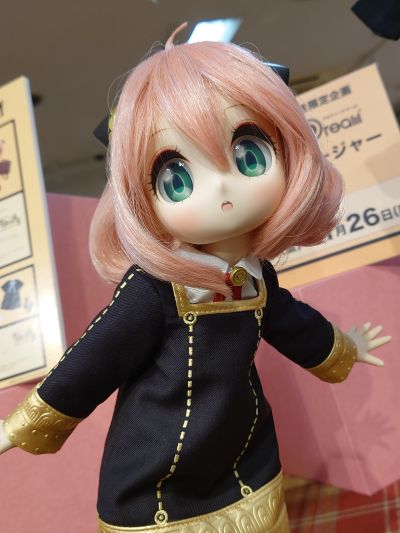 DD 间谍过家家 阿尼亚·福杰