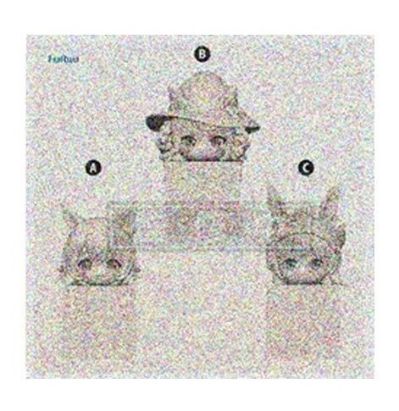 赛马娘 闪耀！优俊少女 趴趴9