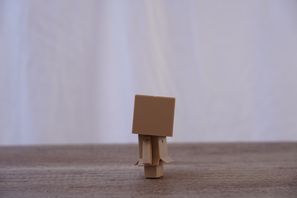 粘土人#1065 四叶妹妹！ 阿楞