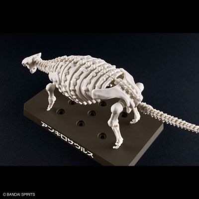 恐龙拼装模型 甲龙