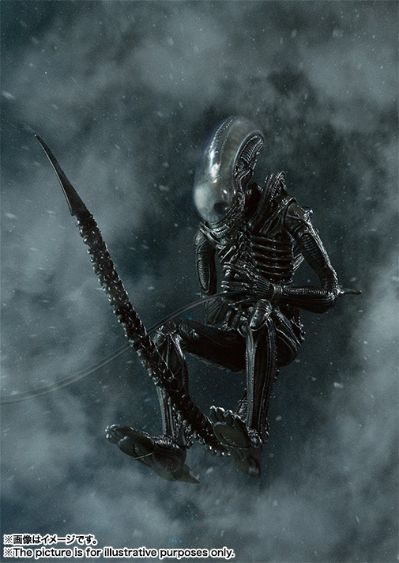 S.H.MonsterArts 异形 异形