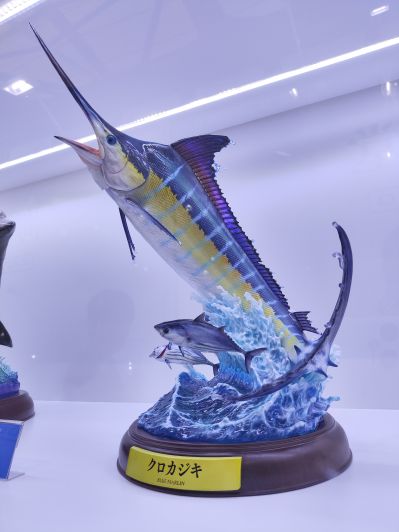 NATURE TALES 蓝枪鱼