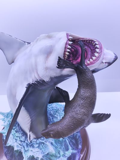 NATURE TALES 大白鲨