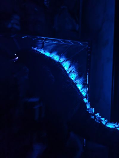 东宝大怪兽系列 哥斯拉2：怪兽之王 哥斯拉 放射热线版